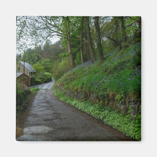 Bluebells on Eastwood Lane Magneet (Voorkant)
