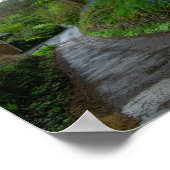 Bluebells on Eastwood Lane Poster (Hoek)