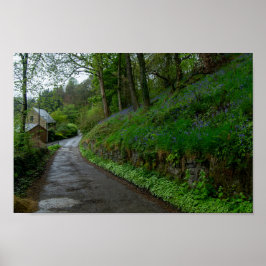 Bluebells on Eastwood Lane Poster