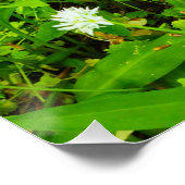 Bluebells Perfect Poster (Hoek)