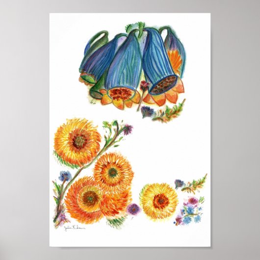 Bluebells Poster (Voorkant)