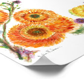 Bluebells Poster (Hoek)