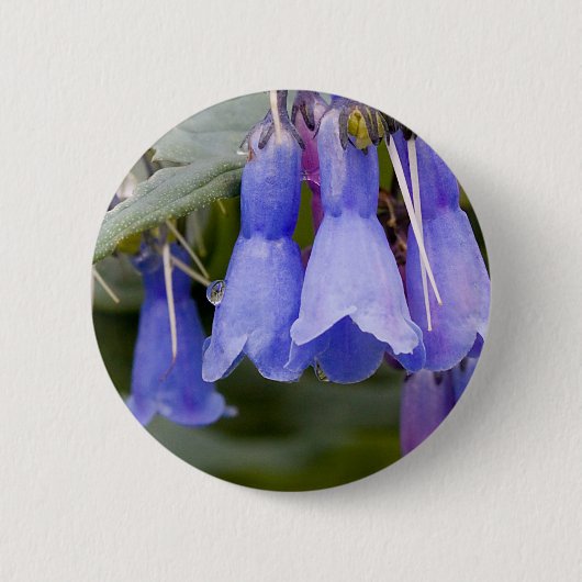 Bluebells Ronde Button 5,7 Cm (Voorkant)