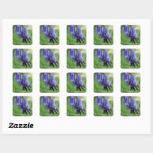 Bluebells WIldflower stickers (Vel)
