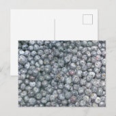 Blueberries Art Briefkaart (Voorkant / Achterkant)