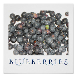 Blueberries Kitchen Art Poster voor thuisdeeg