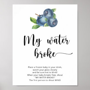 Blueberries - mijn water brak spel poster