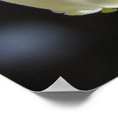 Blueberry Blossom Cluster Poster (Hoek)