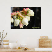 Blueberry Blossom Cluster Poster (Keuken)