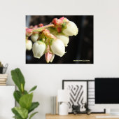 Blueberry Blossom Cluster Poster (Thuiskantoor)