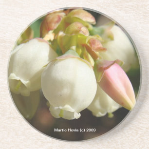 Blueberry Blossoms - Onderzetter