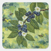 Blueberry Branch Botanical Illustration Vierkante Sticker (Voorkant)