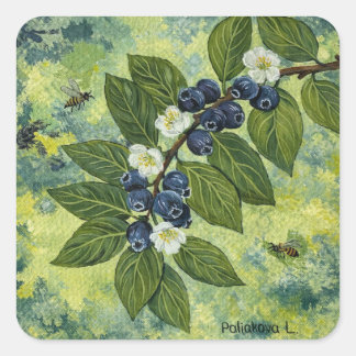 Blueberry Branch Botanical Illustration Vierkante Sticker