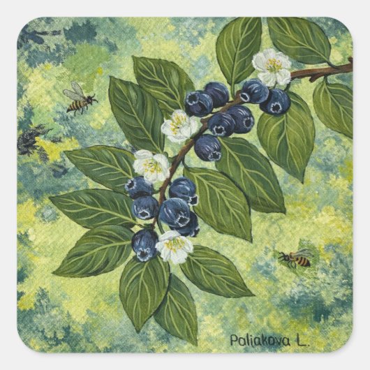 Blueberry Branch Botanical Illustration Vierkante Sticker (Voorkant)