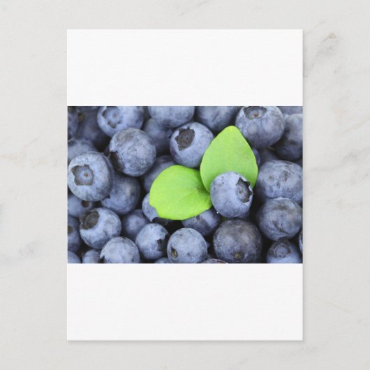 BLUEBERRY BRIEFKAART (Voorkant)