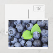 BLUEBERRY BRIEFKAART (Voorkant / Achterkant)
