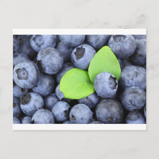 BLUEBERRY BRIEFKAART (Voorkant)