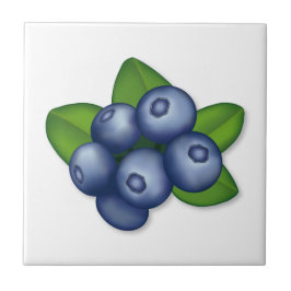 Blueberry fruit decoratief tegeltje
