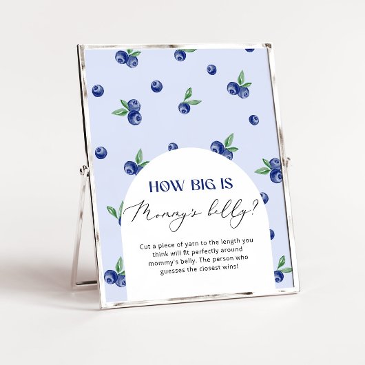 Blueberry hoe groot is mama's buik spel poster