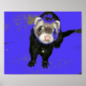 Blueberry Jam Ferret Poster (Voorkant)