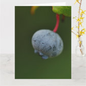 Blueberry-Kaart Kaart (Gele Bloem)