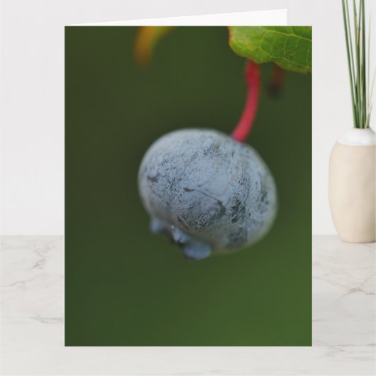 Blueberry-Kaart Kaart (Voorkant)
