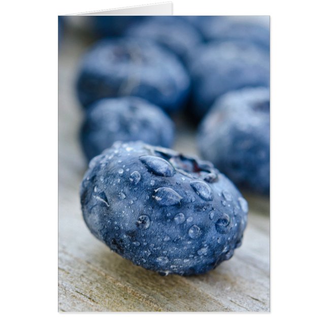 Blueberry Macro (Voorkant)