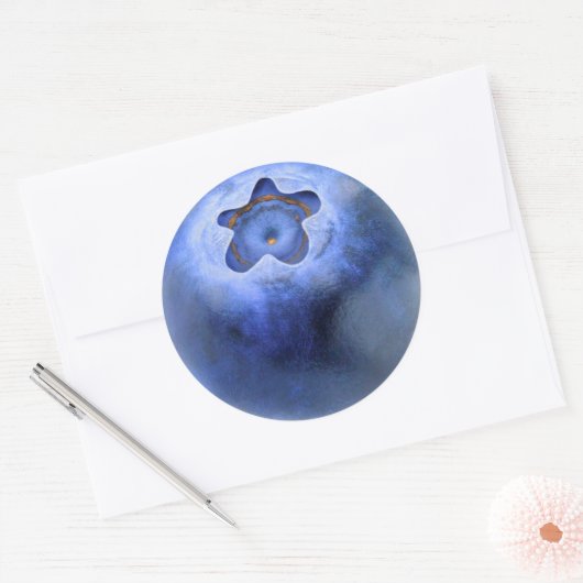 Blueberry-macro Ronde Sticker (Envelop)