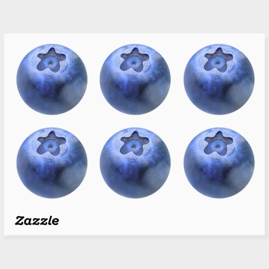 Blueberry-macro Ronde Sticker (Vel)