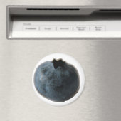 Blueberry magneet (Insitu (Vaatwasser))