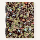 Blueberry-Notitieboek Notitieboek (Voorkant)