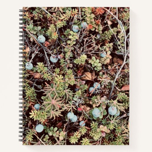 Blueberry-Notitieboek Notitieboek (Voorkant)