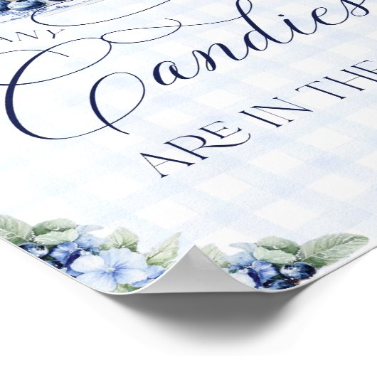 Blueberry Pannenkoek Baby Brunch Baby shower Boy Poster (Hoek)