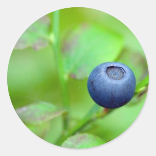 Blueberry-Sticker Ronde Sticker (Voorkant)