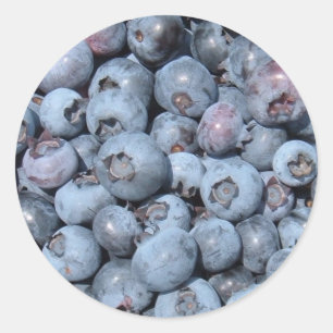 Blueberry-Stickers Ronde Sticker