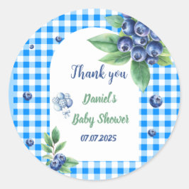 Blueberry-thema Gingham Sweet Baby shower Ronde Sticker