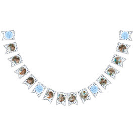 Blueberry Verjaardag 12 maanden Foto Milestone Vlaggetjes