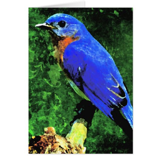 Bluebird All Occasions (Voorkant)