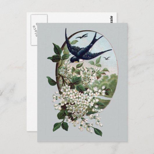 Bluebird and Branch of Blossom Briefkaart (Voorkant / Achterkant)