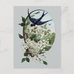 Bluebird and Branch of Blossom Briefkaart