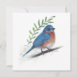 Bluebird Art Bird Kaart