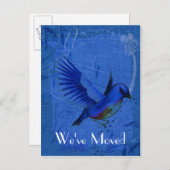 Bluebird Art New Address Natuur Briefkaart (Voorkant / Achterkant)