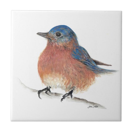 Bluebird Art Tegeltje (Voorkant)