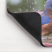 Bluebird bij Birdbath Muismat (Hoek)