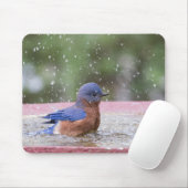 Bluebird bij Birdbath Muismat (Met muis)