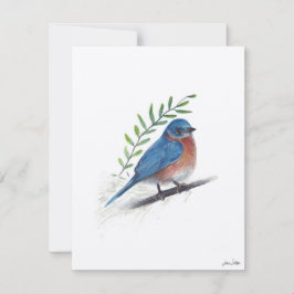 Bluebird Bird Art Feestdagenkaart