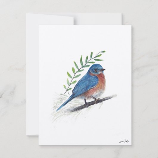 Bluebird Bird Art Feestdagenkaart (Voorkant)