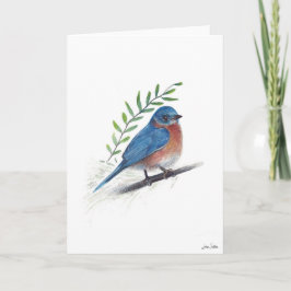 Bluebird Bird Art Kaart