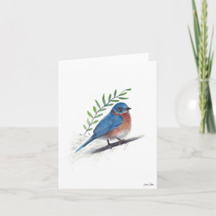 Bluebird Bird Art Kaart