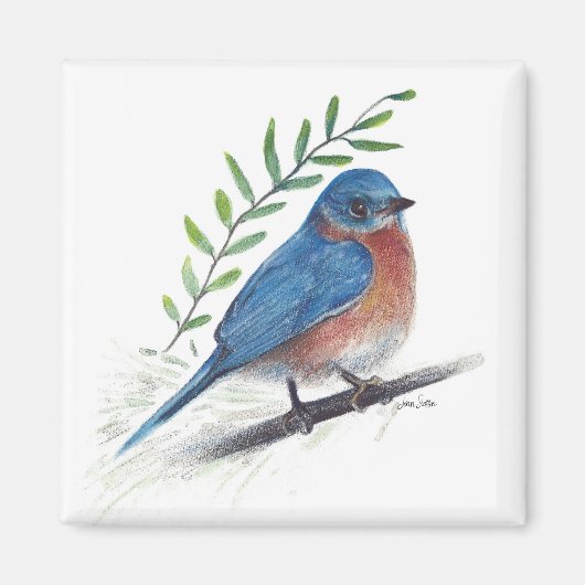 Bluebird Bird Art Magnet (Voorkant)